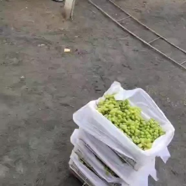 甜