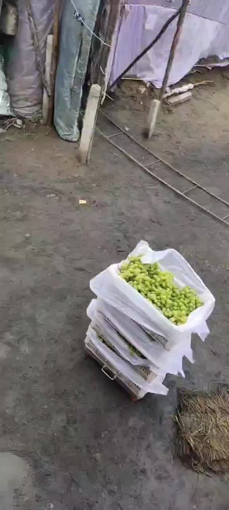 甜