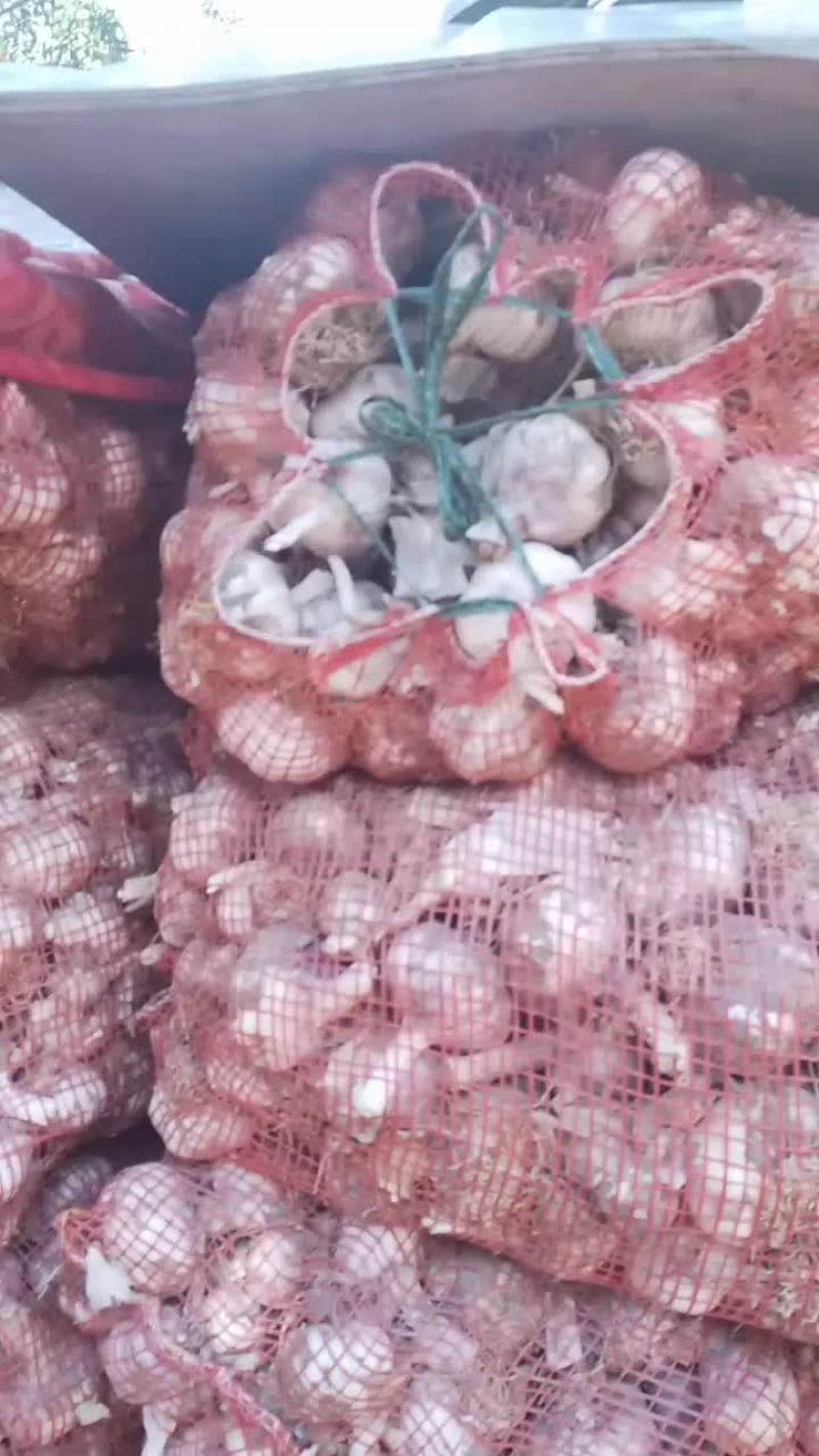 大蒜