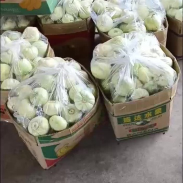 甜宝甜瓜皮薄肉厚，口感很好