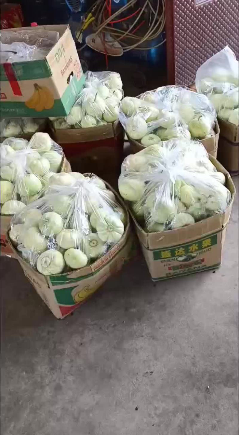 甜宝甜瓜皮薄肉厚，口感很好