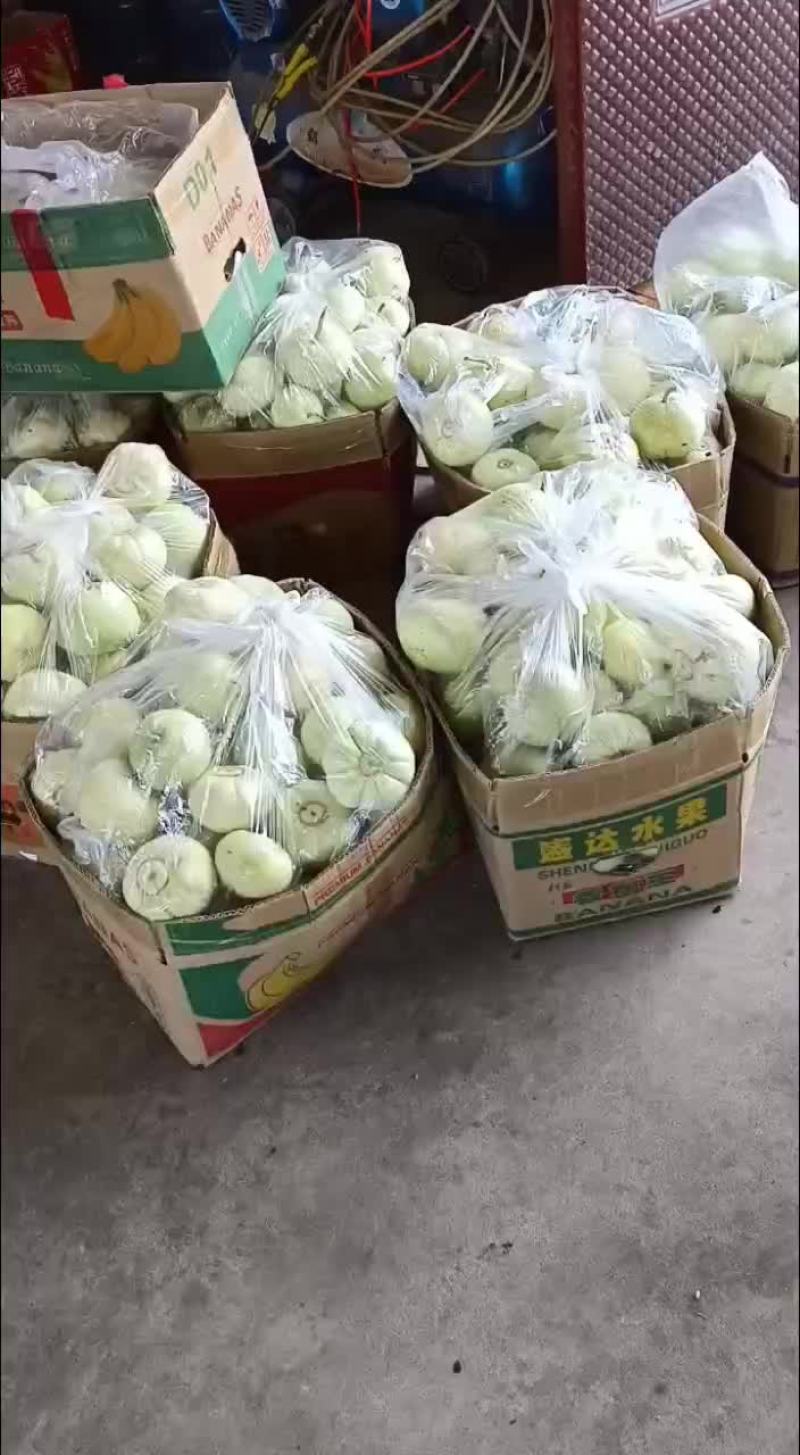 甜宝甜瓜皮薄肉厚，口感很好
