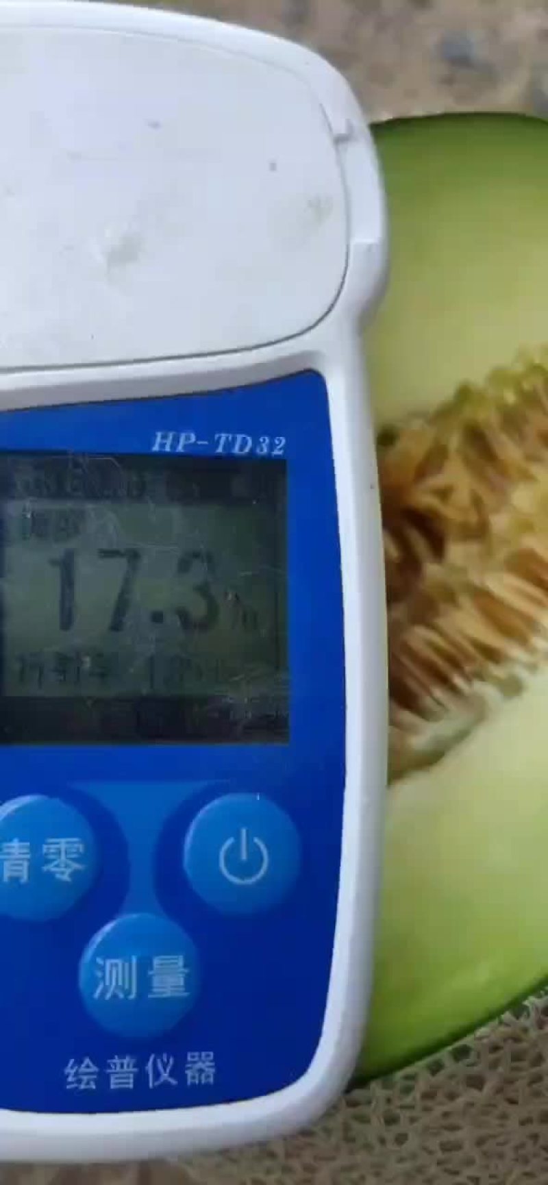 圆网纹甜瓜