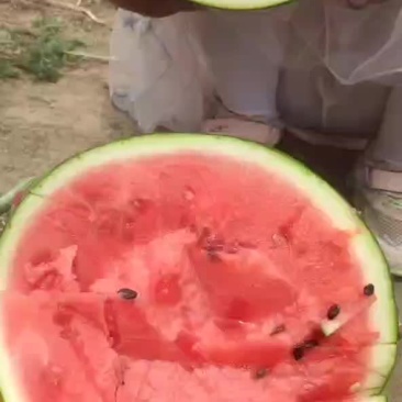 甜王西瓜