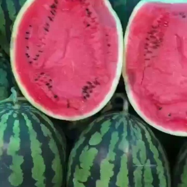 甜王