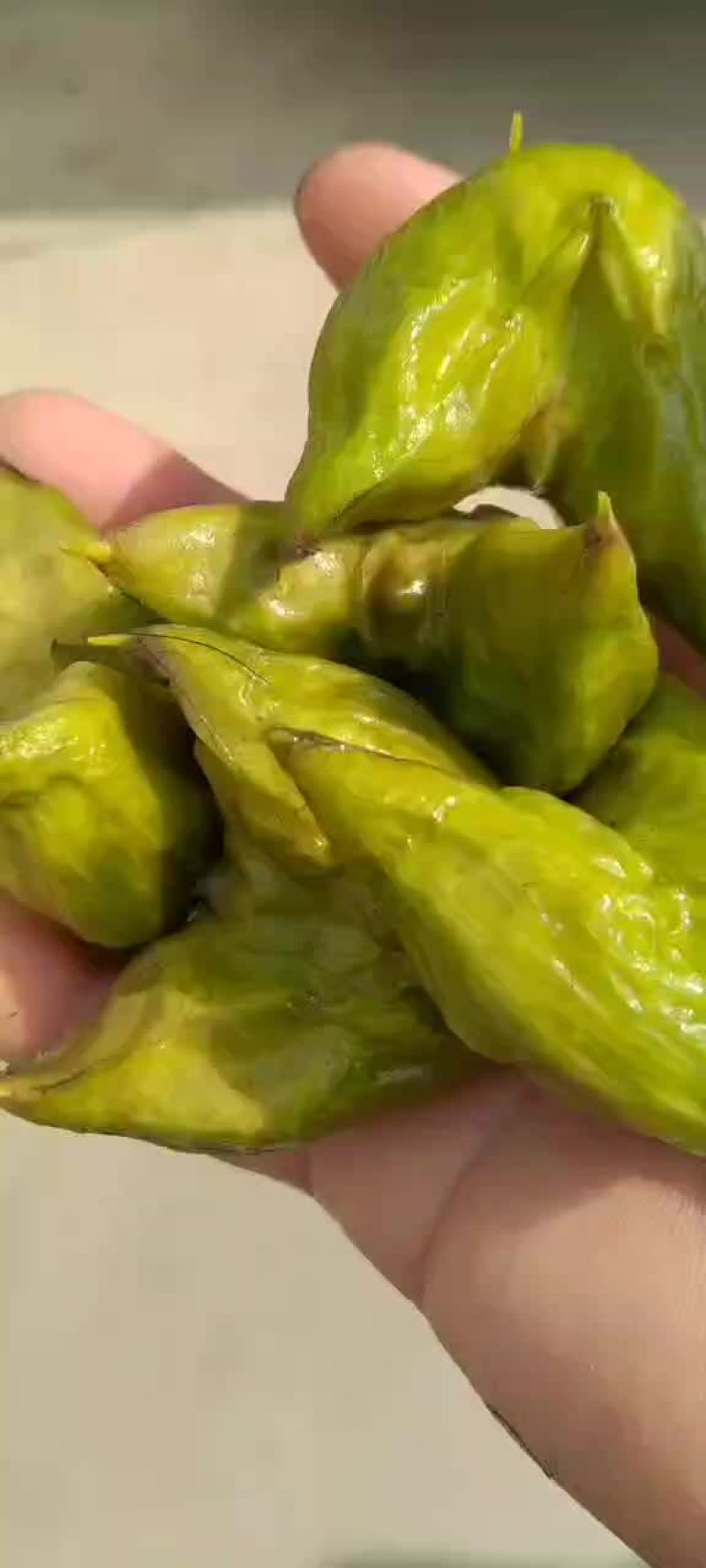 菱角菱角米