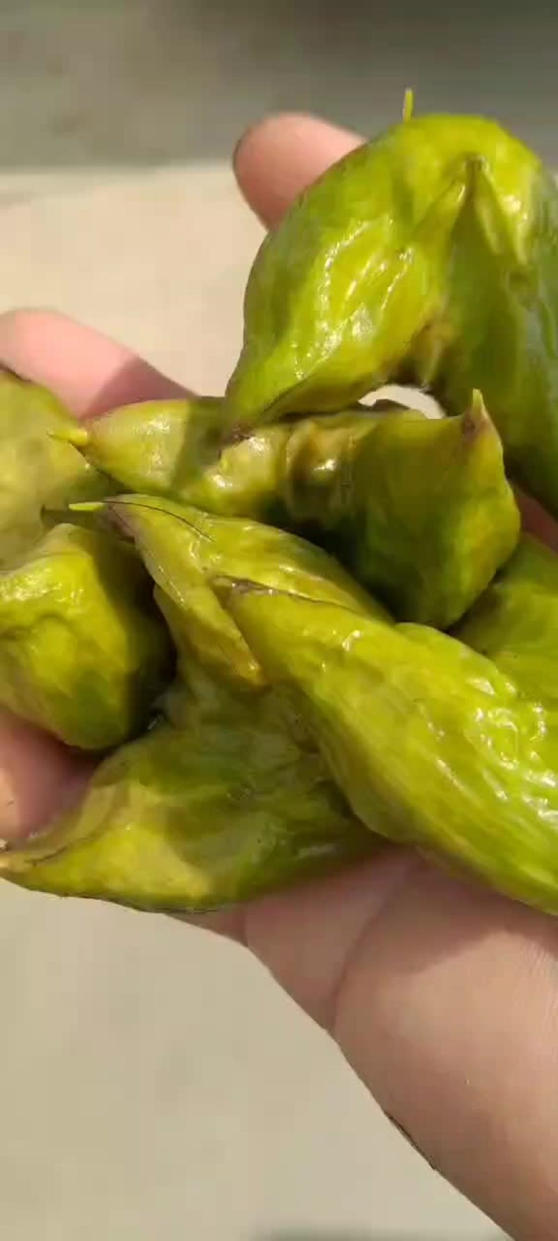 菱角菱角米