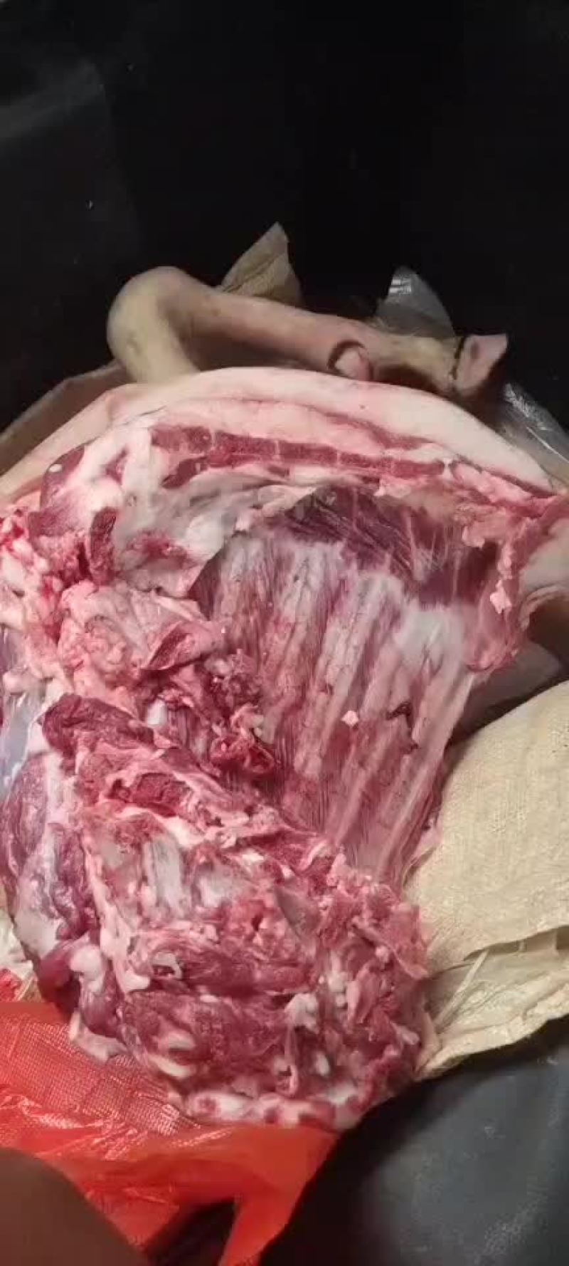 羊肉黑山羊