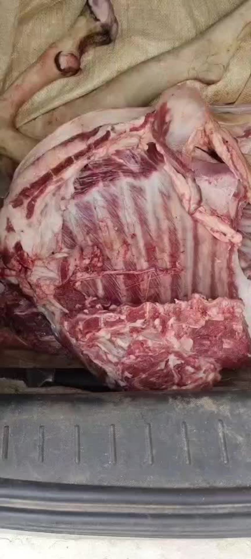 羊肉黑山羊