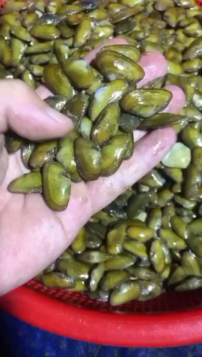 好货不等人