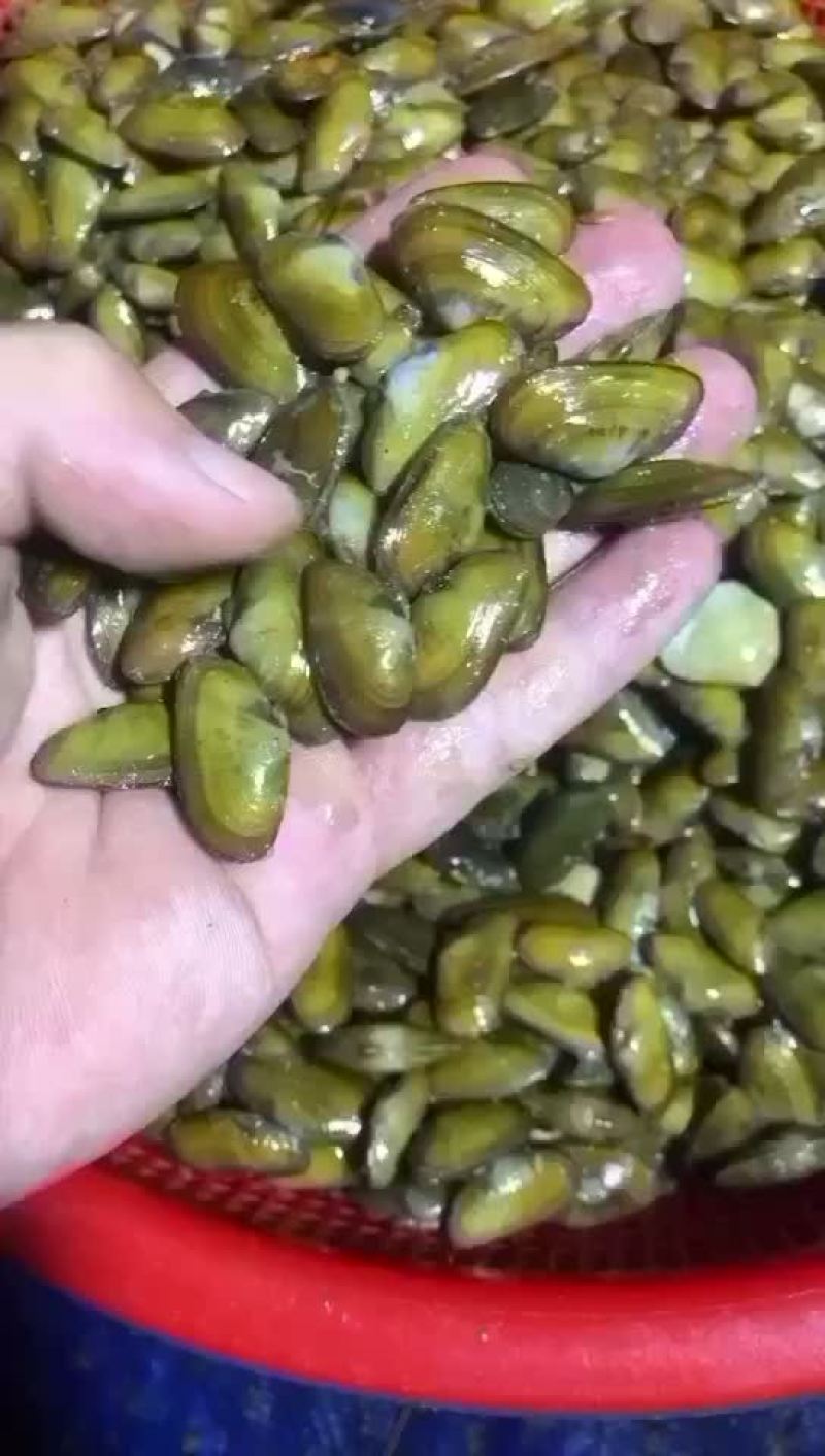 好货不等人