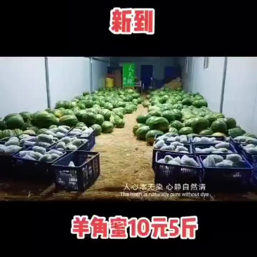 批发甜王西瓜