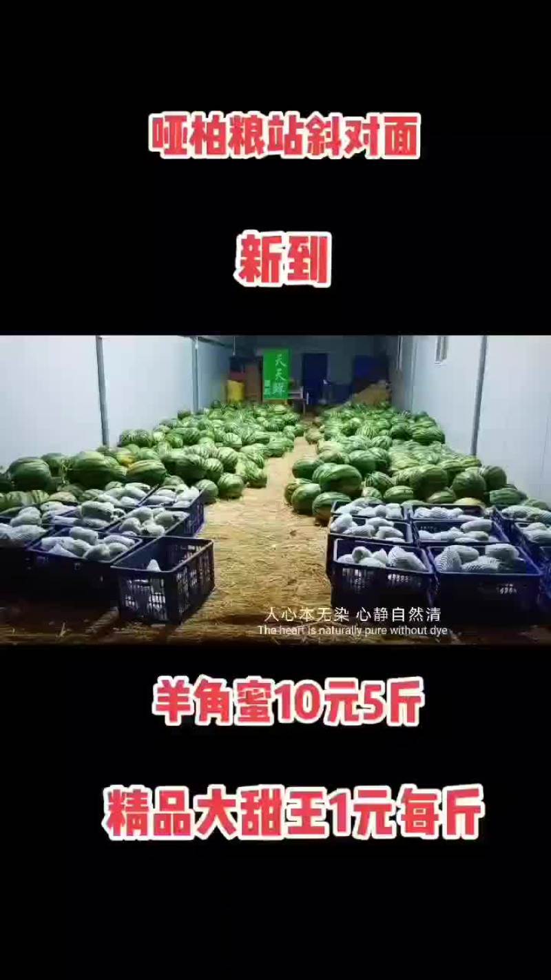 批发甜王西瓜