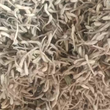 金银花干品自家种的自然凉干无公害没打农药