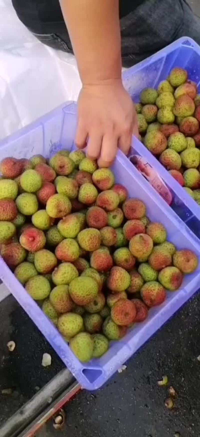 特价荔枝