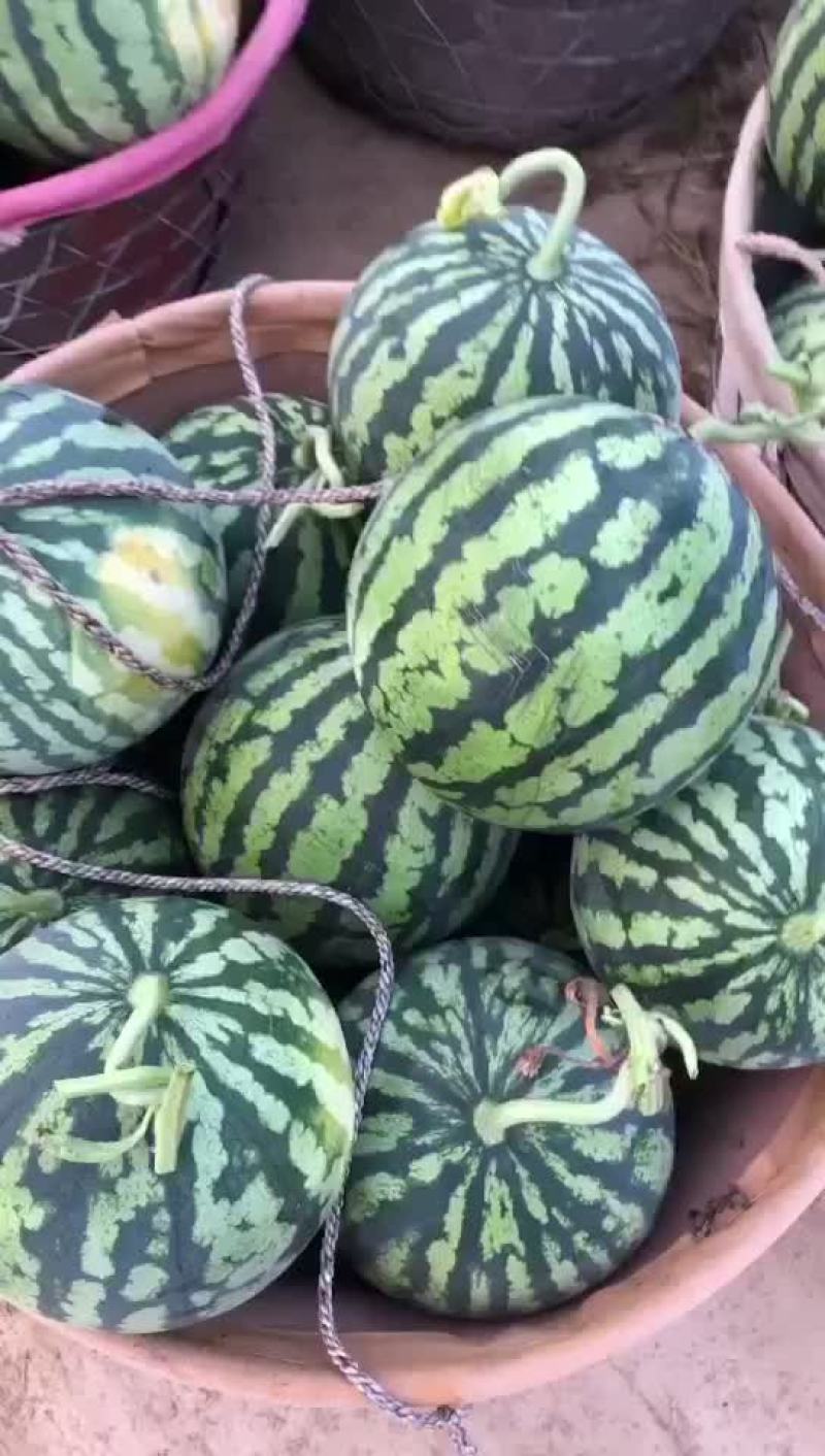 西瓜