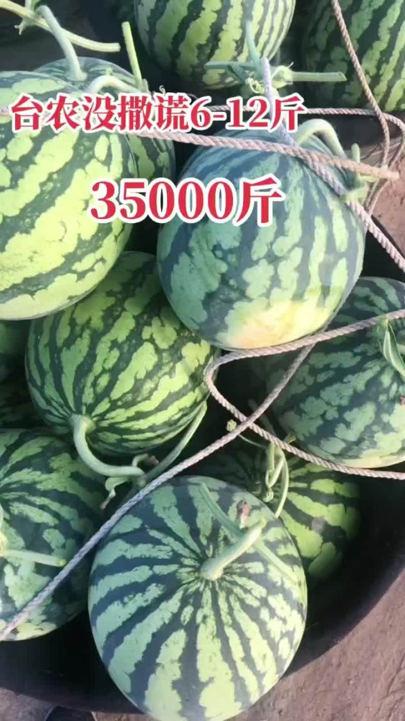 西瓜