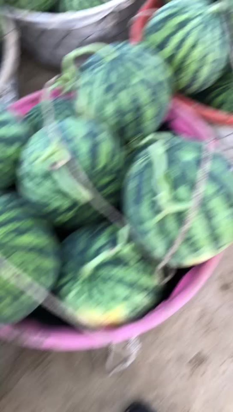 西瓜
