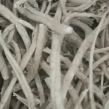 白鲜皮