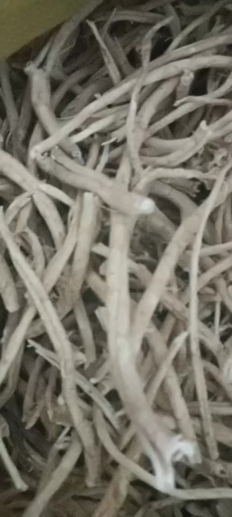 白鲜皮