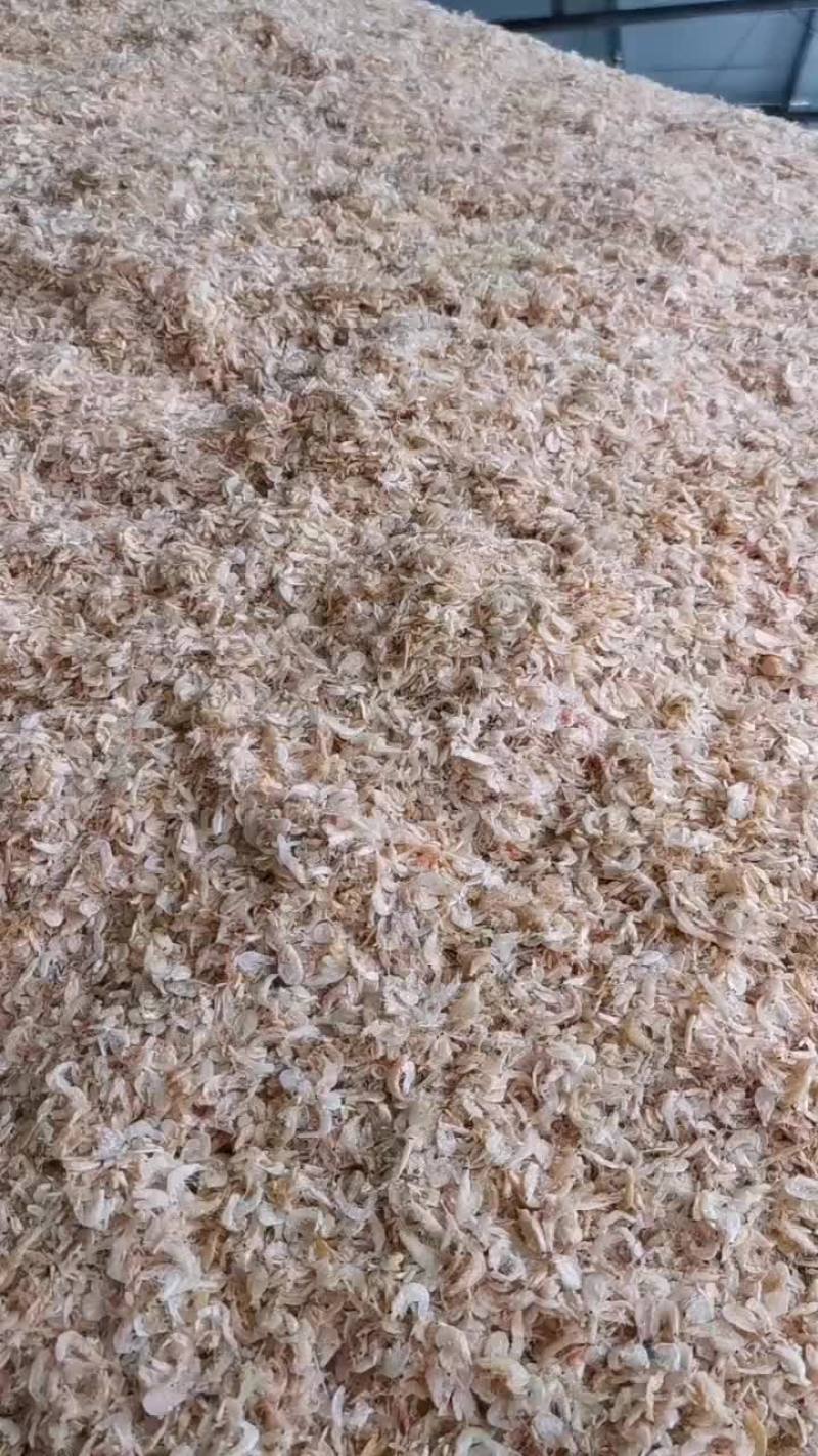 滨州市沾化区海陆丰水产品有限公司厂家发货渤海夹虾，