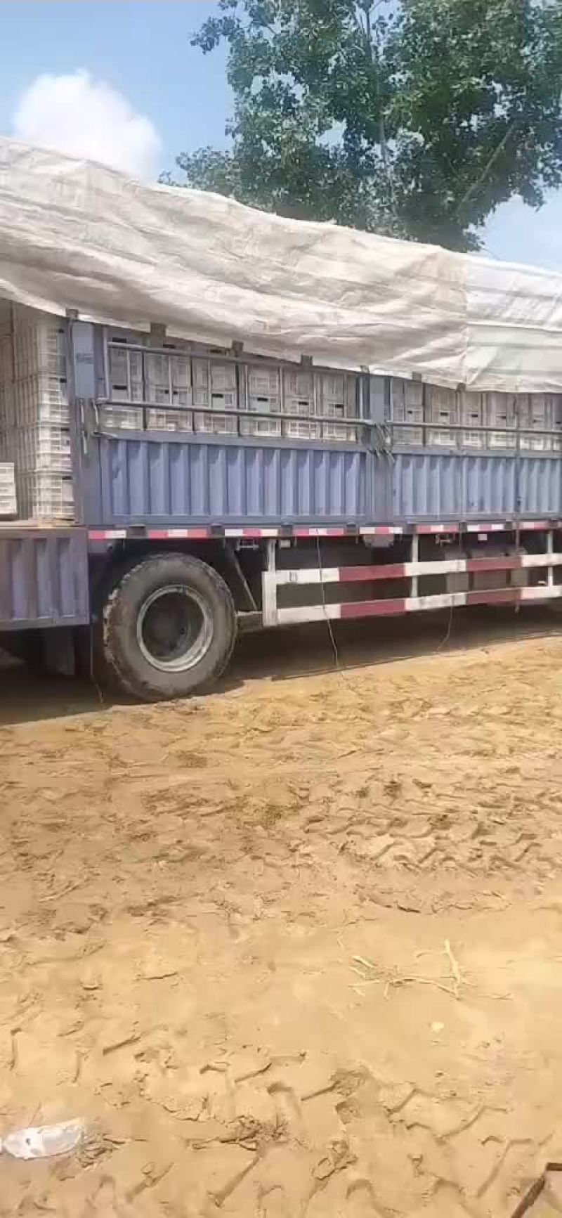物流货运