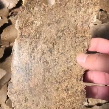 胡麻饼适合各种养殖