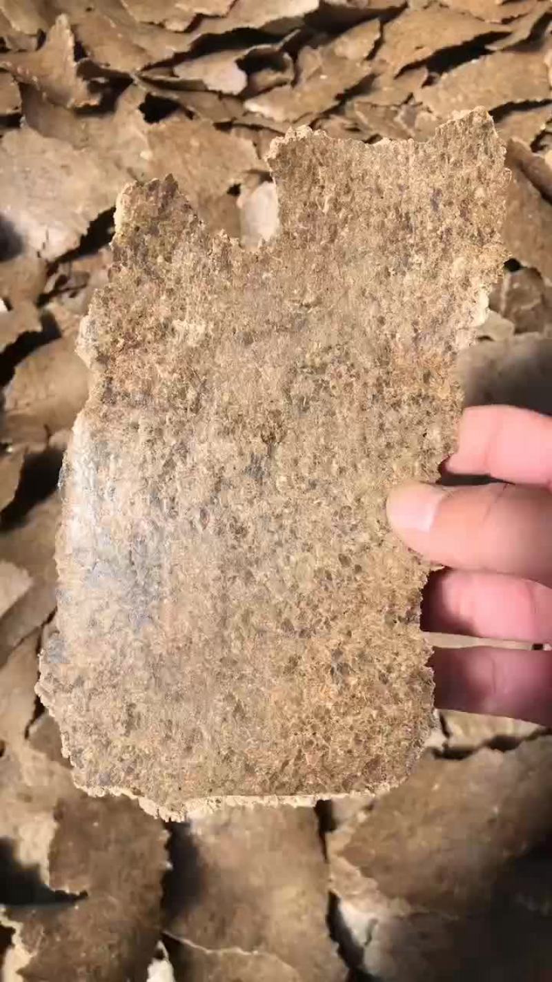 胡麻饼适合各种养殖