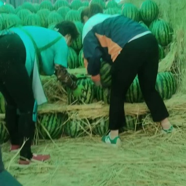 甜王