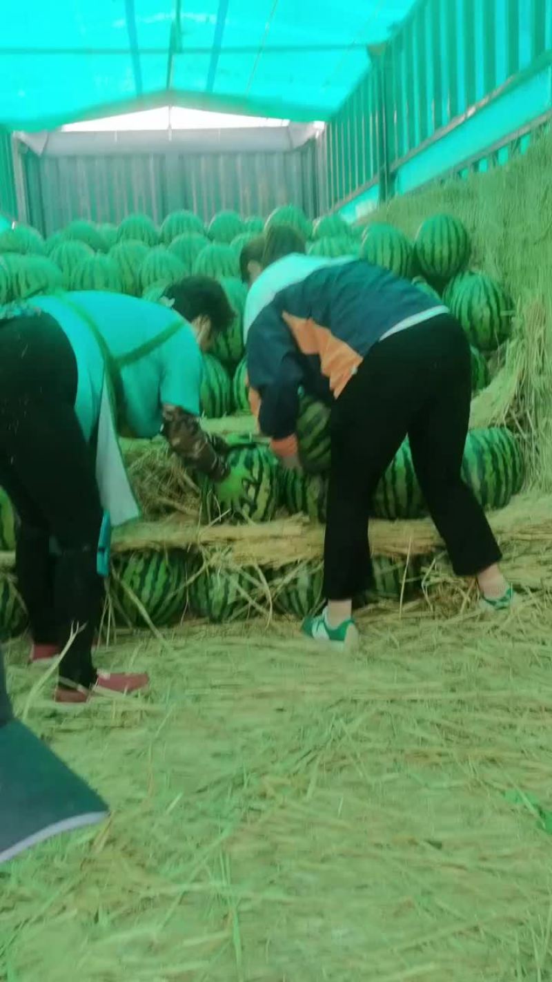 甜王
