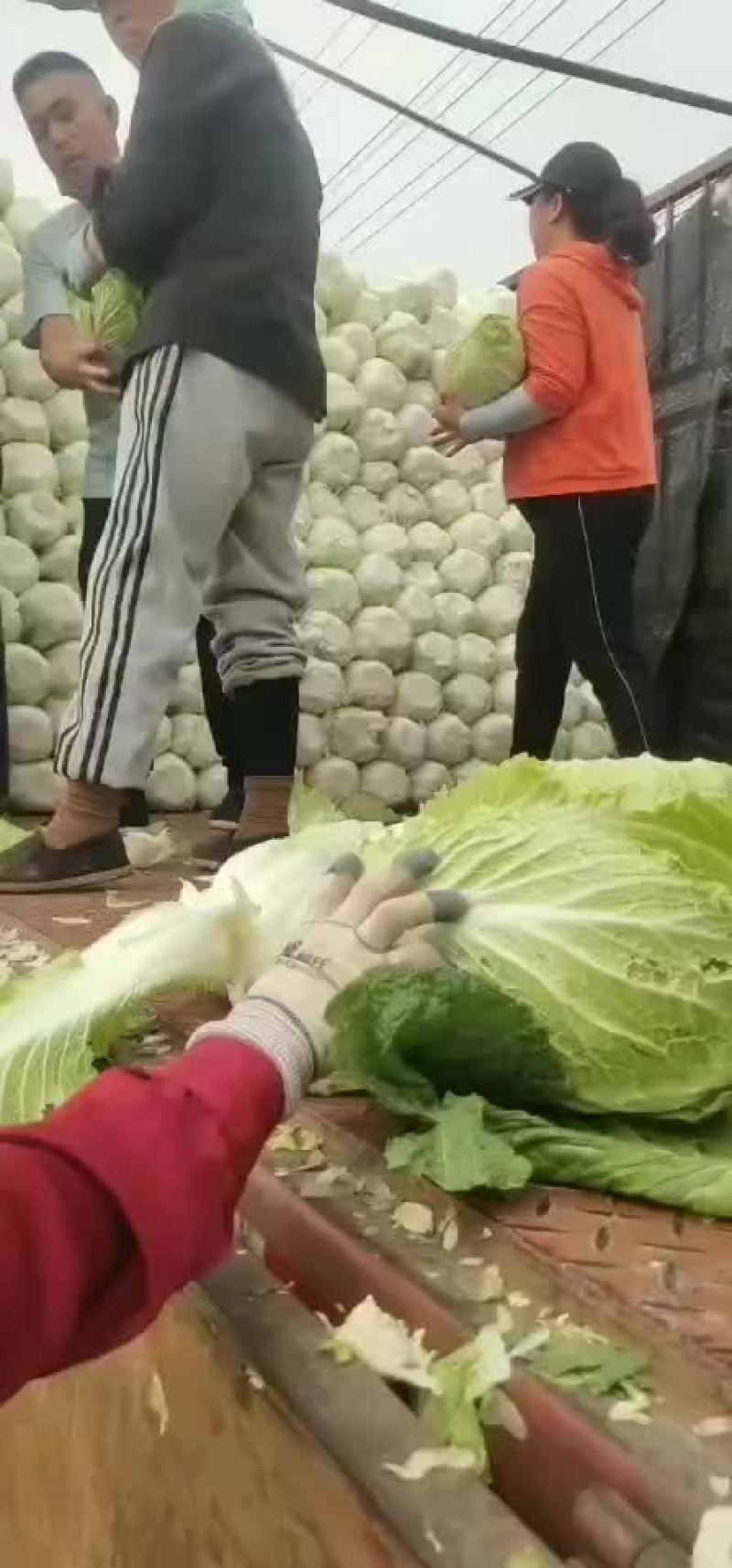 精品黄心菜