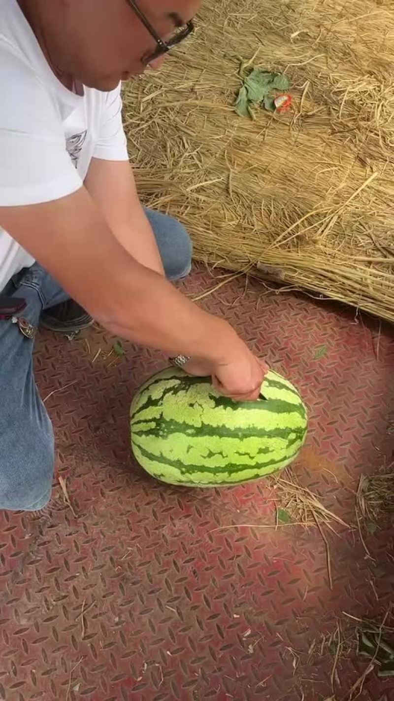 西瓜