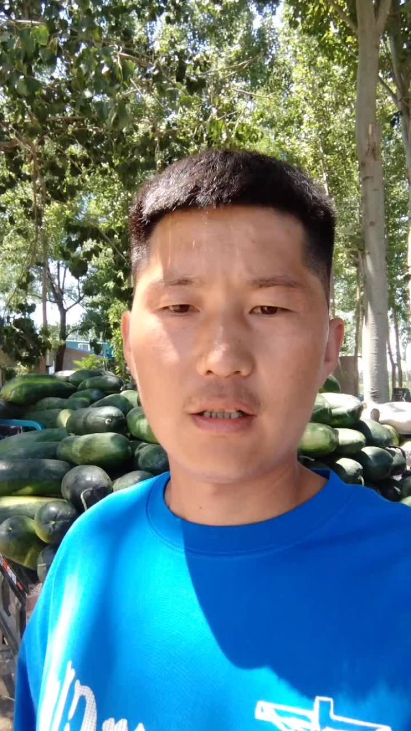 【推荐】黑皮地冬瓜，价格低条美，质量保证欢迎致电