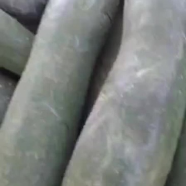 【推荐】黑皮地冬瓜，价格低条美，质量保证欢迎致电
