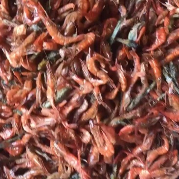 干虾米