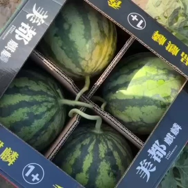 陕西精品美都，供应全国各大商超，市场，质量保证