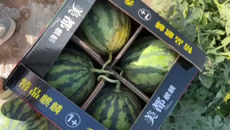 陕西精品美都，供应全国各大商超，市场，质量保证