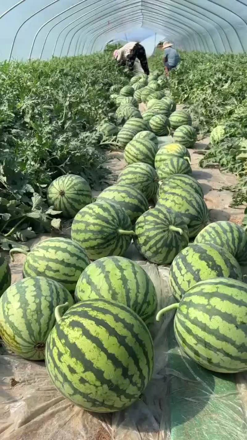 陕西精品美都，供应全国各大商超，市场，质量保证
