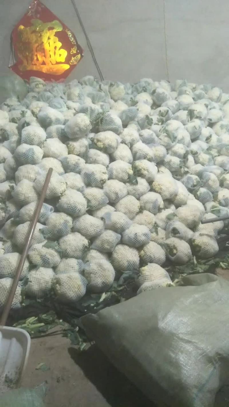 精品小米散出库