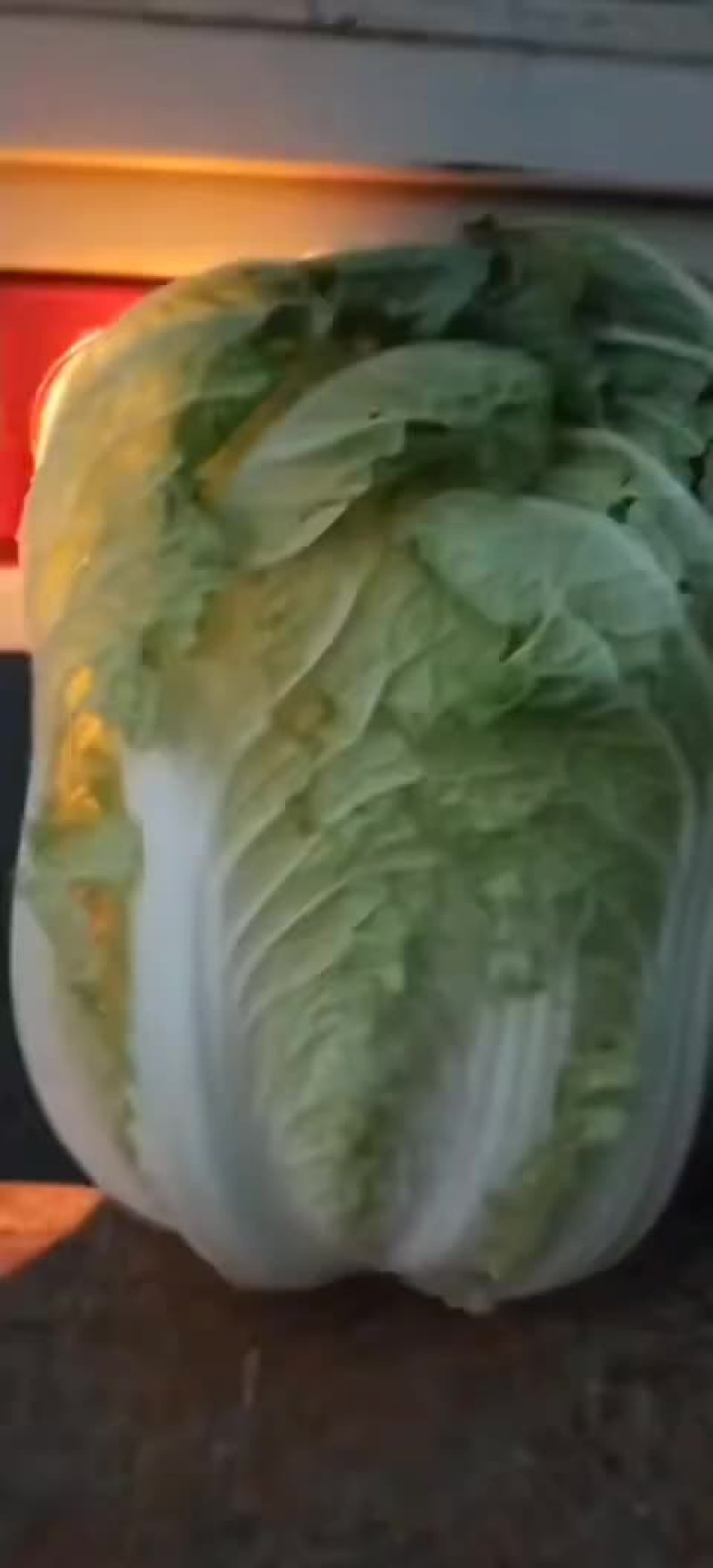 宁夏固原市隆德县大白菜，甘蓝等蔬菜大量供应中，欢迎新老客