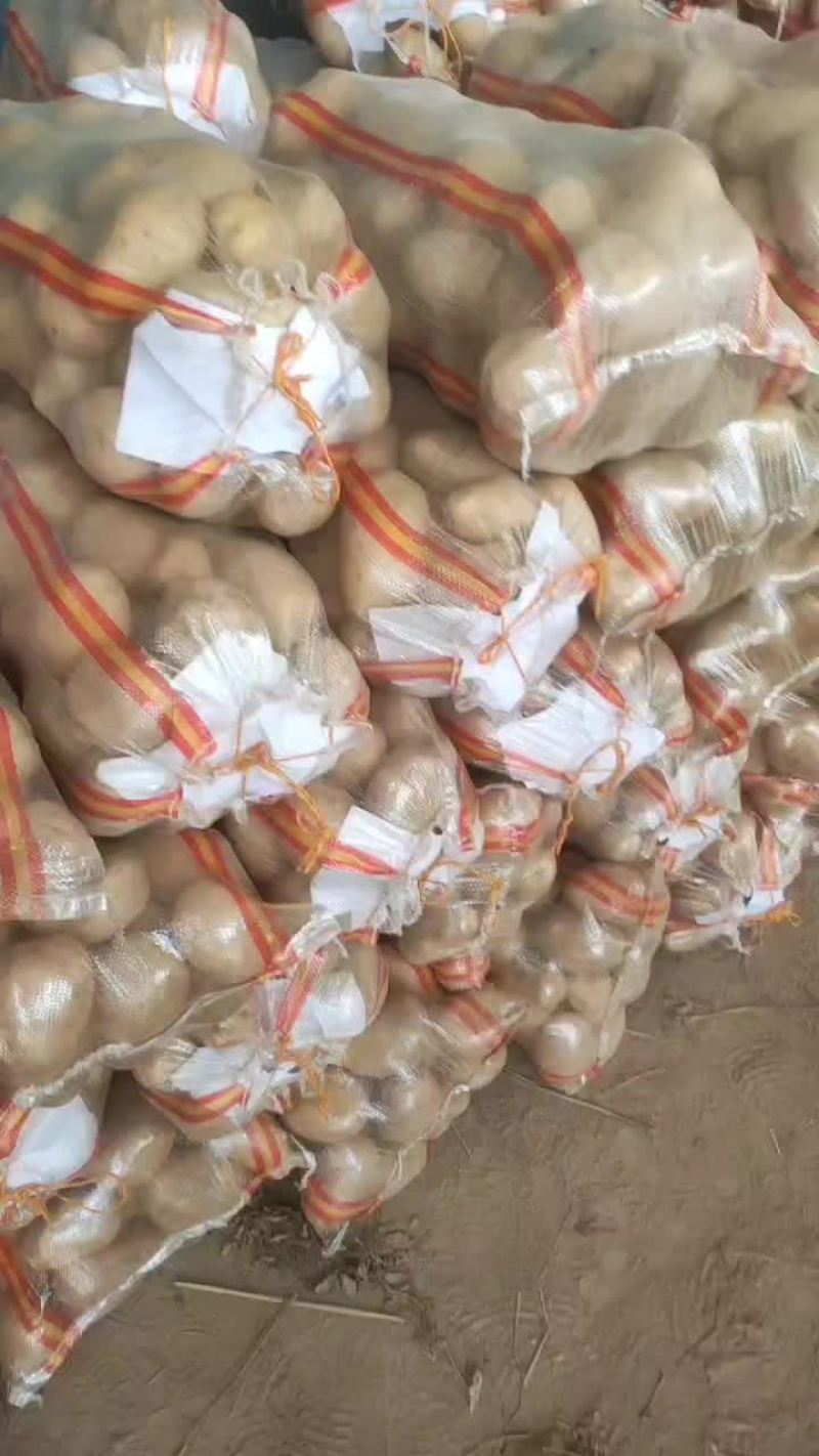 精品土豆，2两以上荷兰土豆，冷库货，好货不多春节将至