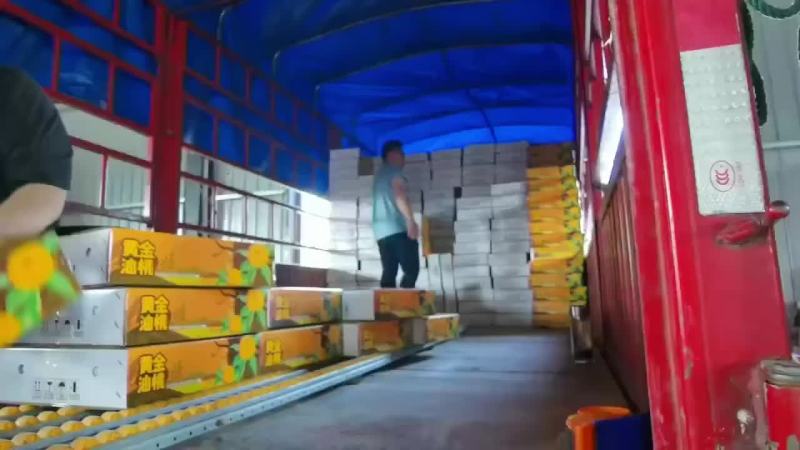 蒙阴蜜桃电商一件代发