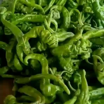 螺丝椒