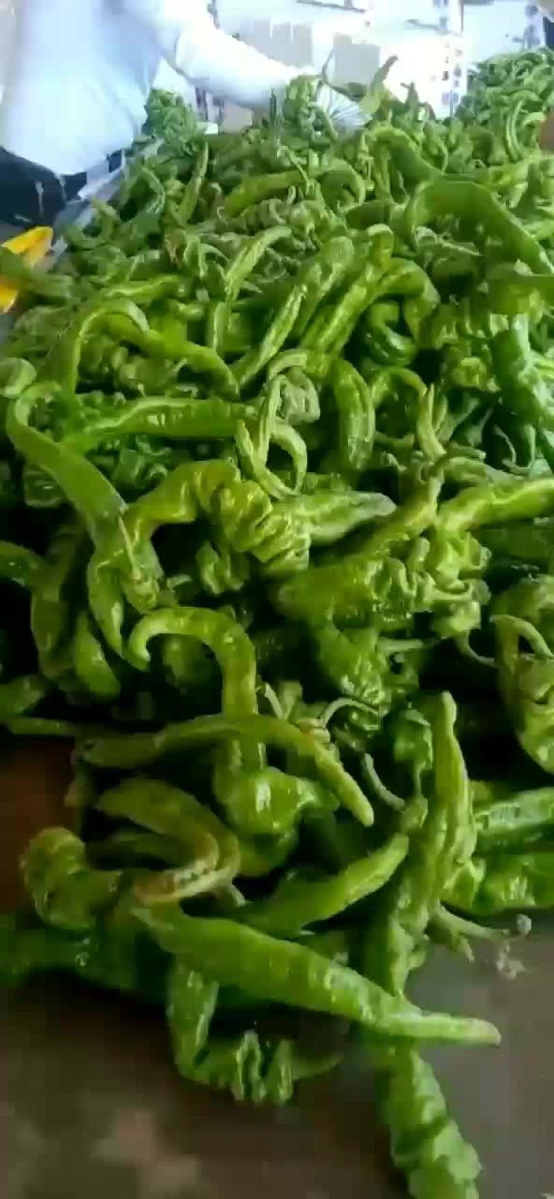 螺丝椒
