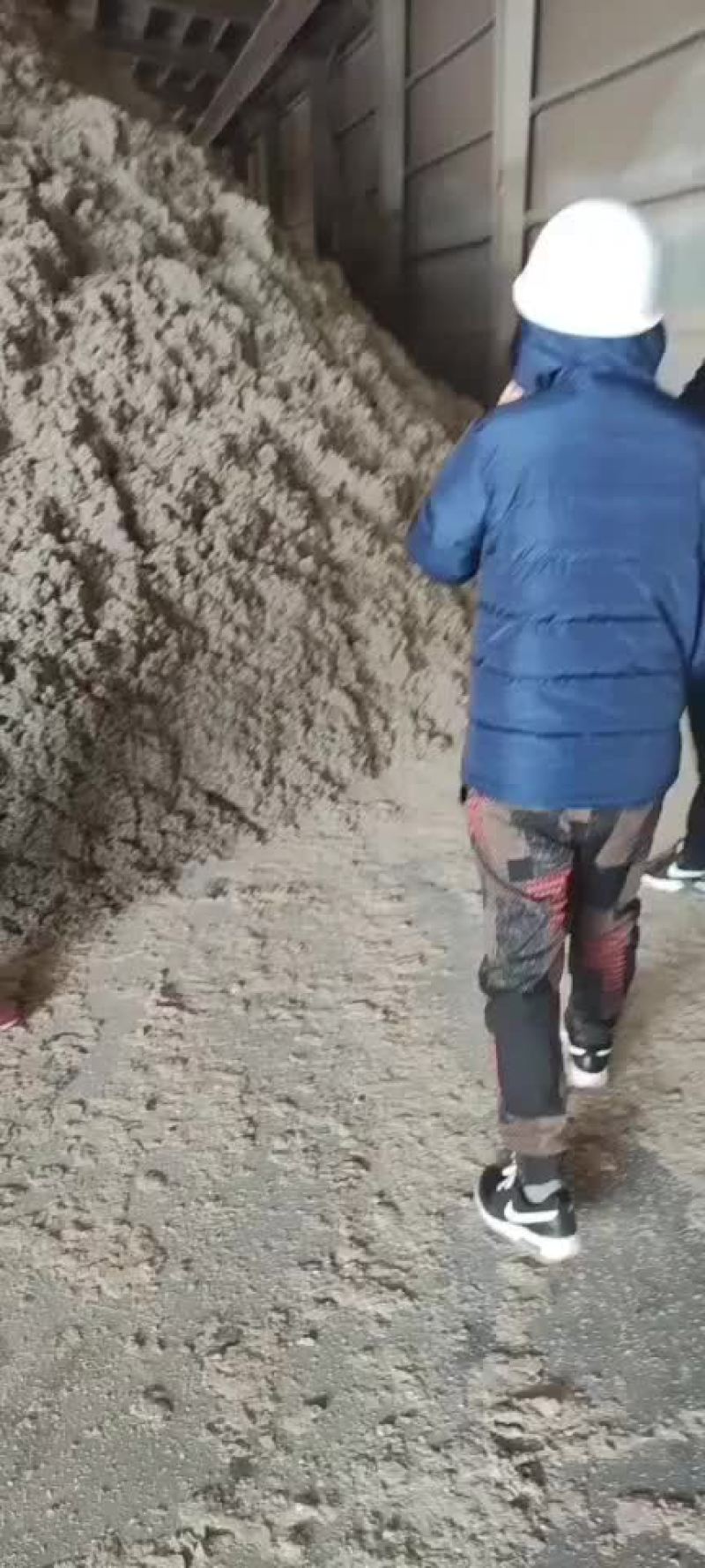 新疆棉籽壳