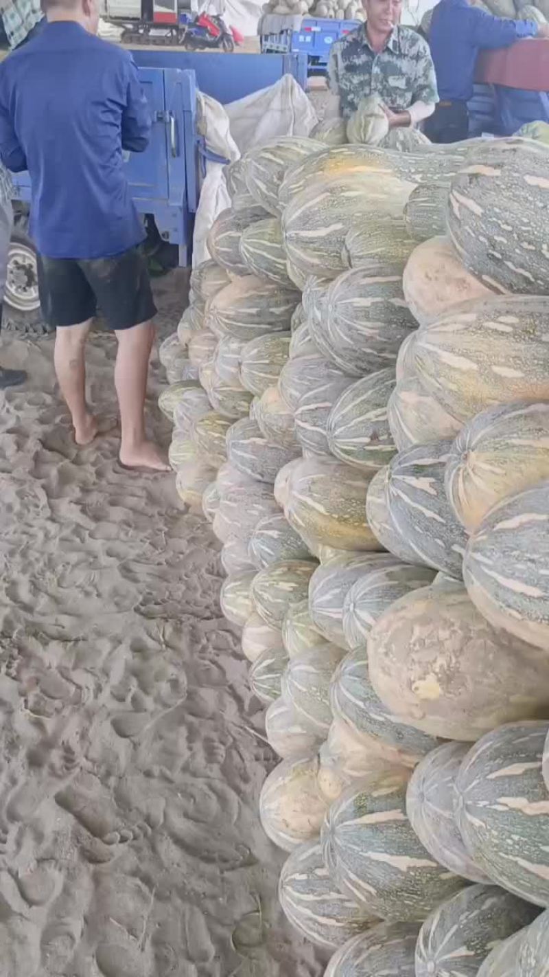 松滋瓜