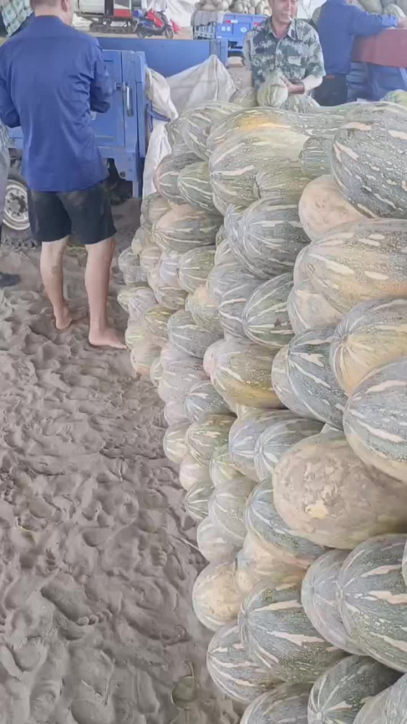 松滋瓜