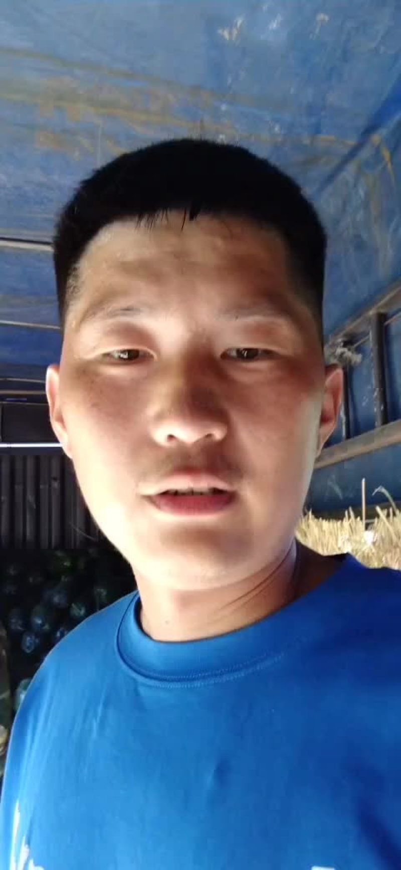 冬瓜，黑皮地冬瓜，大量出货，价格抄底，诚信代办，欢迎