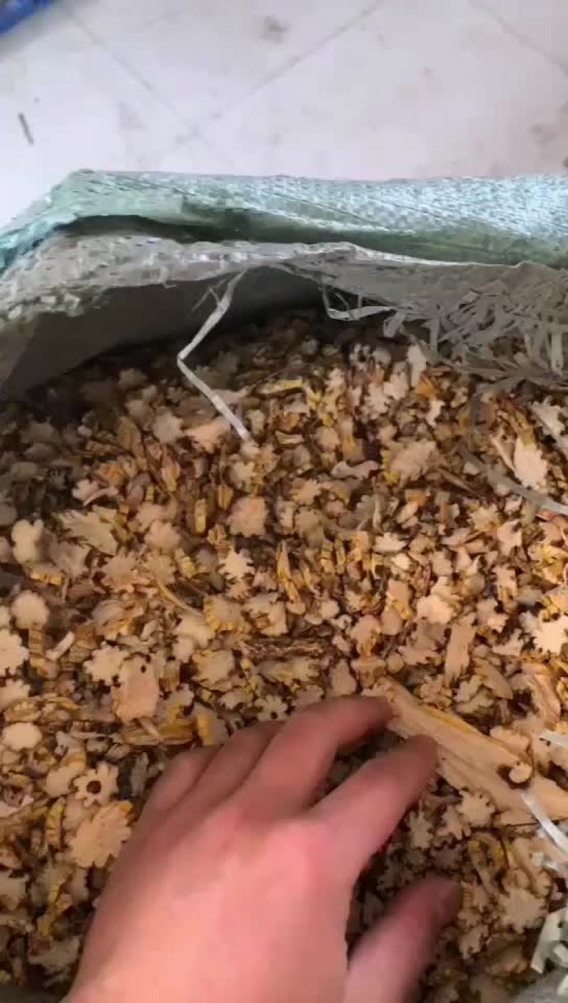 鼓槌饮片