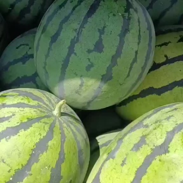 西瓜
